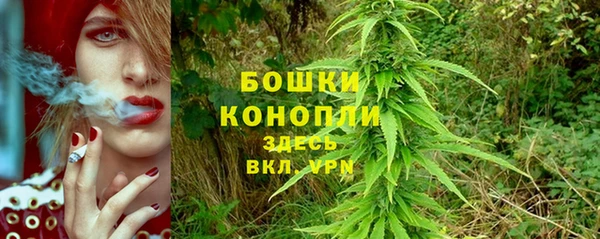 ALPHA PVP Беломорск